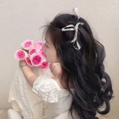 大象菩提