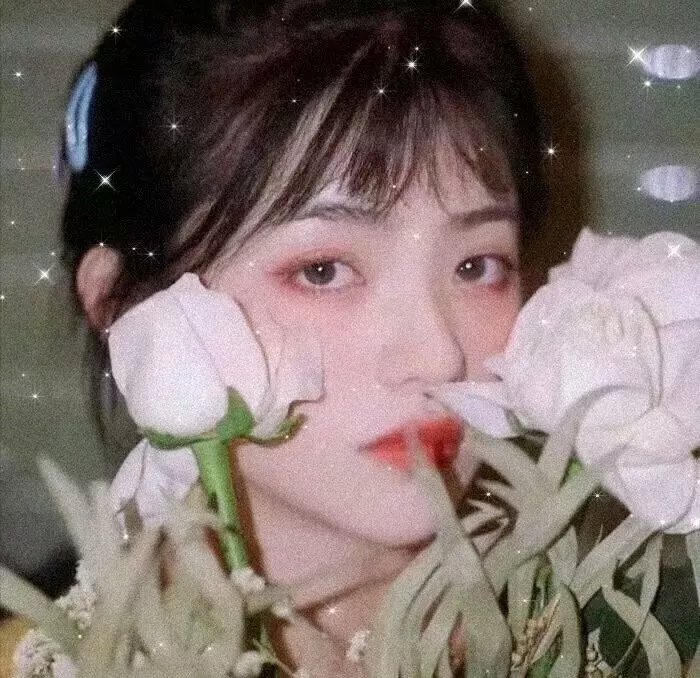 机遇编年史的71块碎片